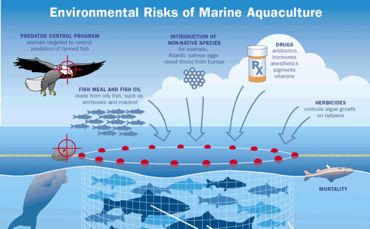  Environmental Costs of Aquaculture