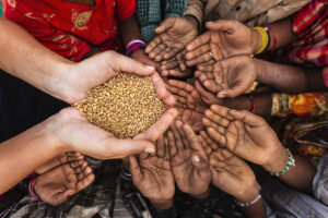 Urban Food Insecurity